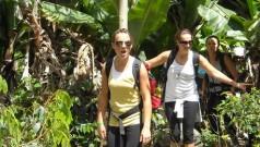 Lares Trekking & Amazon Jungle Trip 9 days